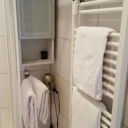 Ferienwohnung Skiliftkarussell *